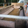 balance tank sewage